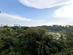 Normanton Park (D5), Apartment #452951561